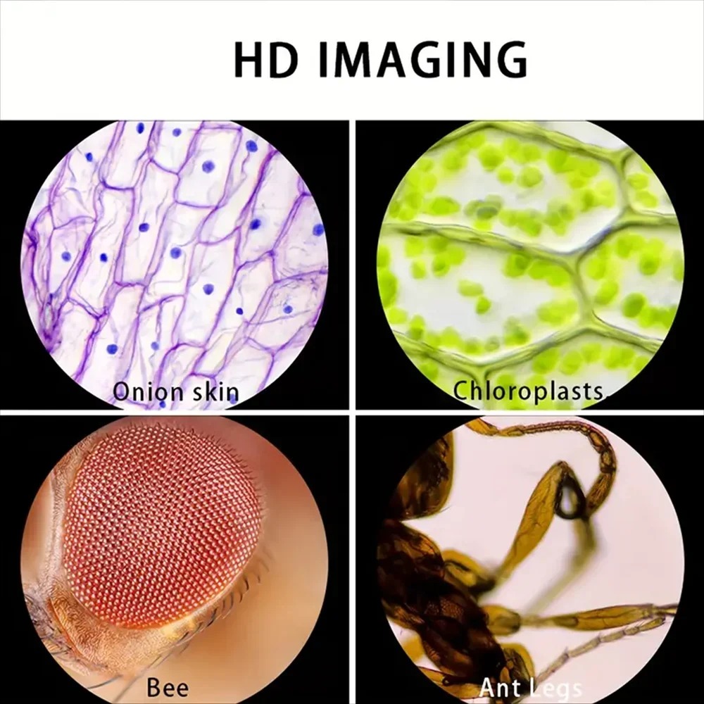 Handheld Pocket Microscope 60X - đánh giá và giá Kids Outdoor Microscope