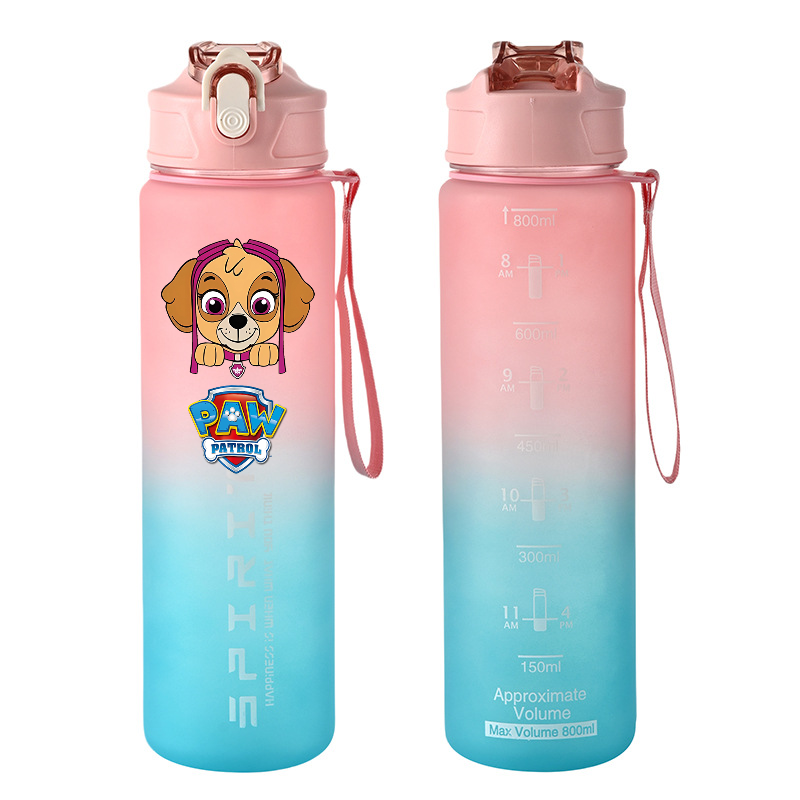 800ml PAW Patrol Sports Water  - đánh giá và giá Kids Outdoor Mud Kitchen Accessories