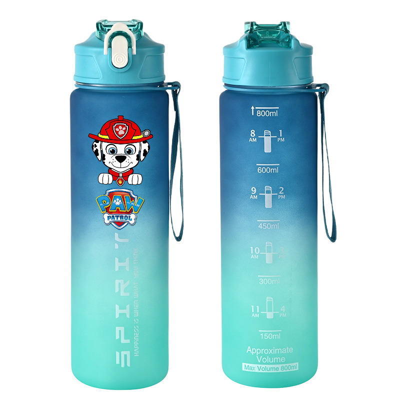 800ml PAW Patrol Sports Water  - đánh giá và giá Kids Outdoor Mud Kitchen Accessories