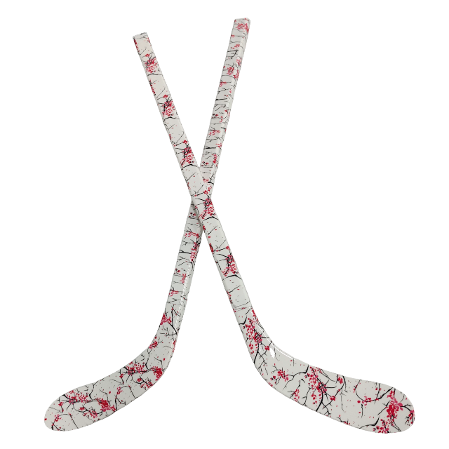 Kids Durable ABS Ice Hockey St - đánh giá và giá Kids Outdoor Ideas